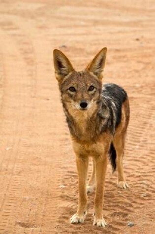 Cover of European Jackal Animal Journal