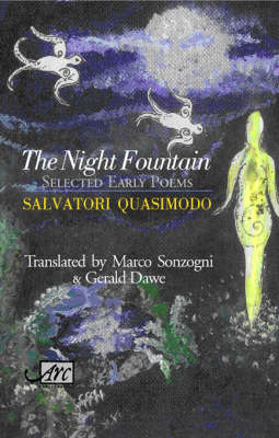 Cover of The Night Fountain