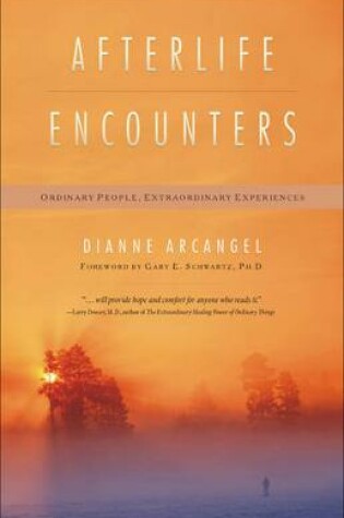 Cover of Afterlife Encounters