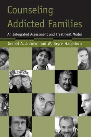 Cover of Counseling Addicted Families