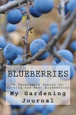 Book cover for Blueberries