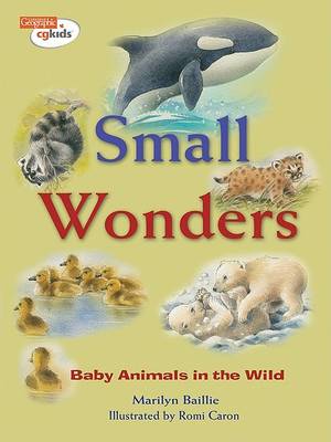 Book cover for Small Wonders