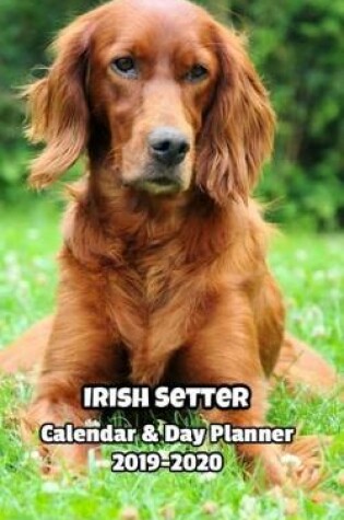 Cover of Irish Setter Calendar & Day Planner 2019-2020