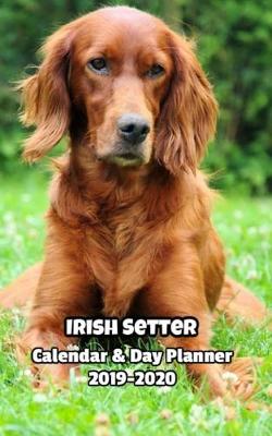 Book cover for Irish Setter Calendar & Day Planner 2019-2020