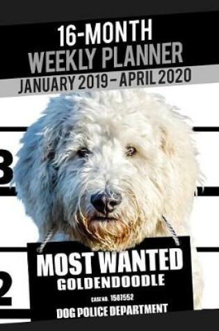 Cover of 2019-2020 Weekly Planner - Most Wanted Goldendoodle (Golden Retriever Poodle)