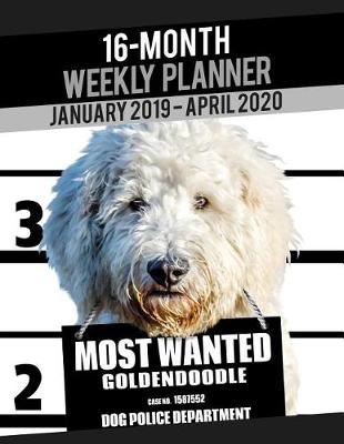 Cover of 2019-2020 Weekly Planner - Most Wanted Goldendoodle (Golden Retriever Poodle)