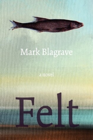 Cover of Felt