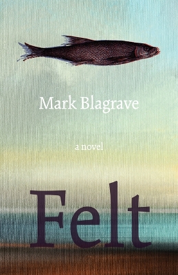 Book cover for Felt