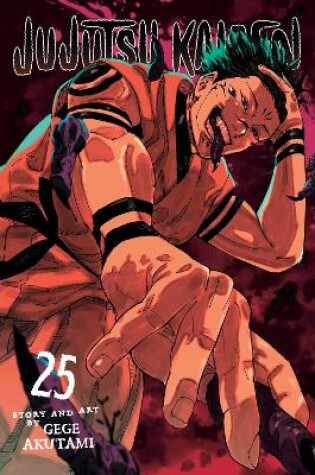 Cover of Jujutsu Kaisen, Vol. 25