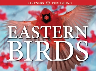 Book cover for Eastern Birds