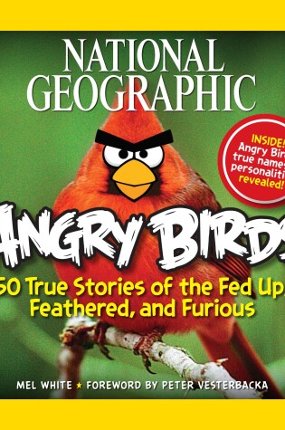 Cover of NG Angry Birds
