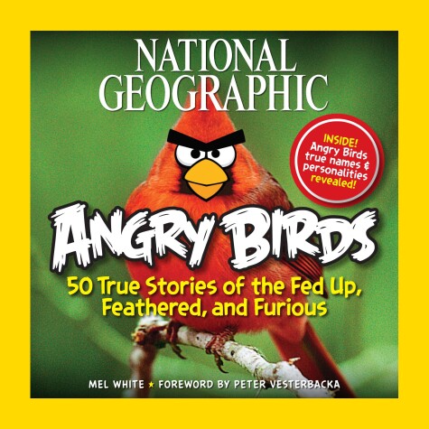 Book cover for NG Angry Birds