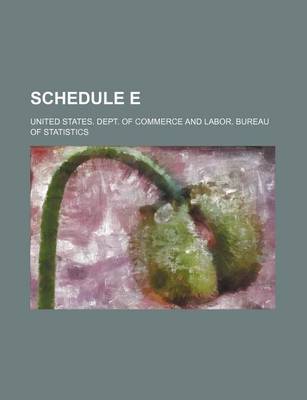 Book cover for Schedule E