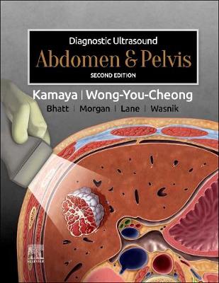 Cover of Abdomen and Pelvis E-Book