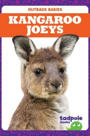 Cover of Kangaroo Joeys