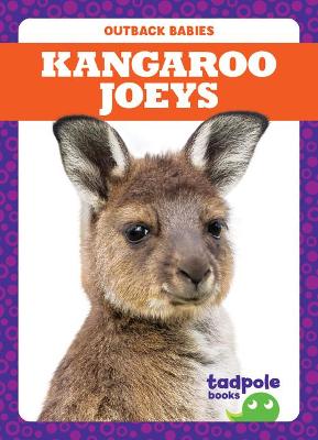 Book cover for Kangaroo Joeys