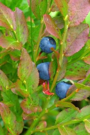 Cover of Blueberry Plant with Berries, for the Love of Nature