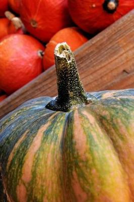 Book cover for Gourd Harvest Time Journal