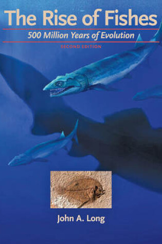 Cover of The Rise of Fishes