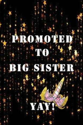 Cover of Promoted to Big Sister YAY!