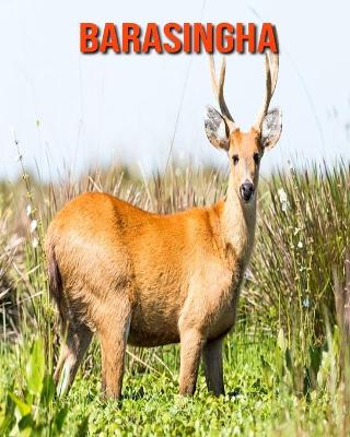 Book cover for Barasingha