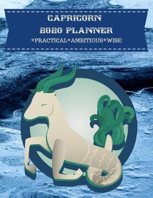 Book cover for Capricorn 2020 Planner