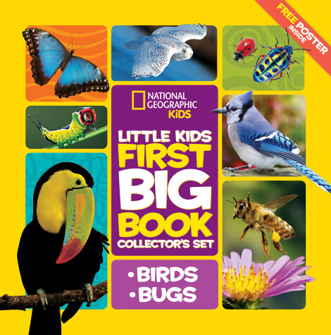 Book cover for National Geographic Little Kids First Big Book Collector's Set: Birds and Bugs