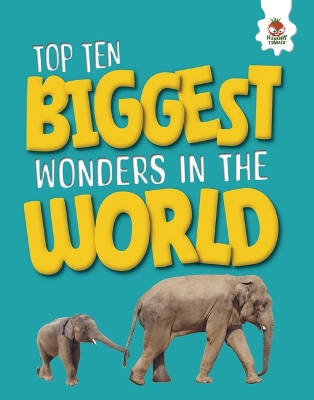 Cover of Top Ten Biggest Wonders in the World