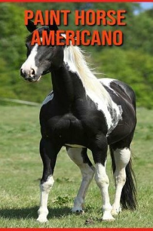 Cover of Paint Horse Americano