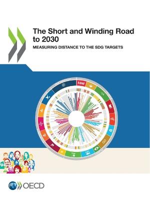 Book cover for The short and winding road to 2030