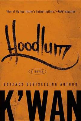 Book cover for Hoodlum