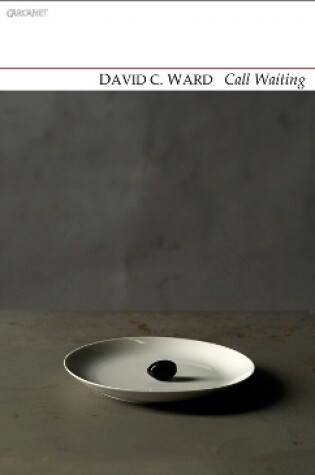 Cover of Call Waiting