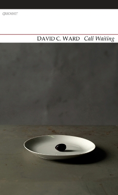 Book cover for Call Waiting