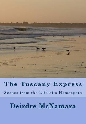 Book cover for The Tuscany Express