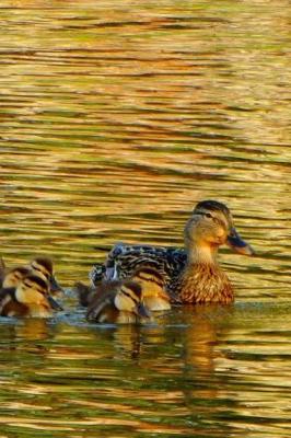 Book cover for Mom & Baby Ducks Pretty Blank Lined Journal for daily thoughts notebook Lovely Lake Arrowhead Photograph