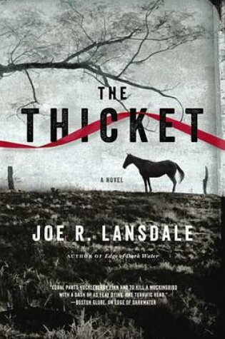 Cover of The Thicket