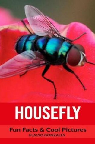 Cover of Housefly
