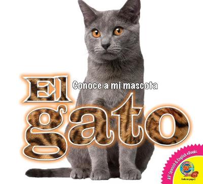 Book cover for El Gato