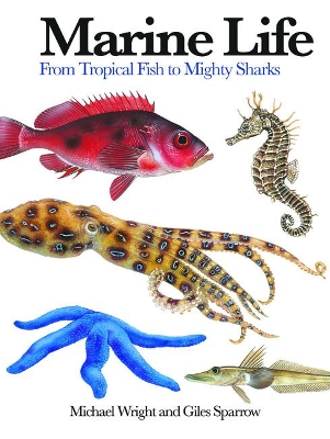 Book cover for Marine Life
