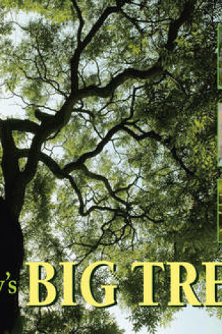 Cover of Kew's Big Trees