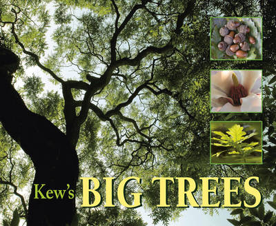 Book cover for Kew's Big Trees