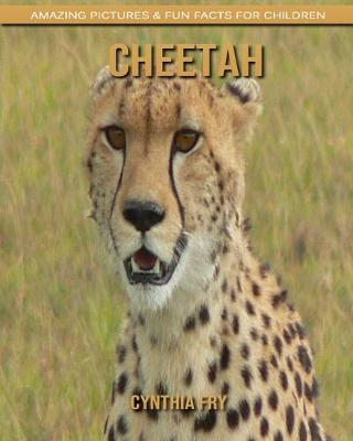 Book cover for Cheetah