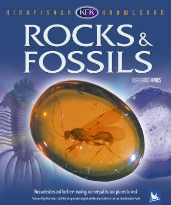 Cover of Rocks and Fossils