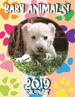 Book cover for Baby Animals! 2019 Calendar