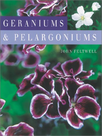 Book cover for Geraniums and Pelargoniums