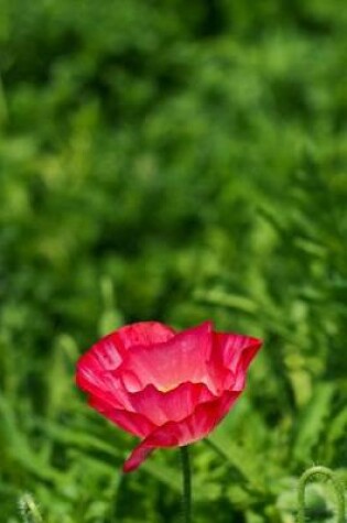 Cover of Single Red Poppy in a Grass Field Journal