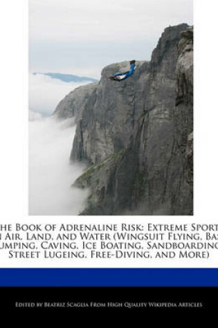 Cover of The Book of Adrenaline Risk