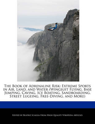 Book cover for The Book of Adrenaline Risk