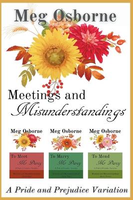 Book cover for Meetings and Misunderstandings