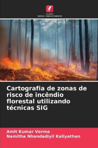 Cover of Cartografia de zonas de risco de incêndio florestal utilizando técnicas SIG